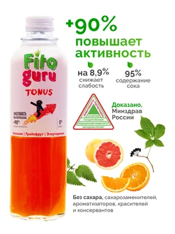 Функциональный напиток Fitoguru Tonus сокосодержащий обогащенный