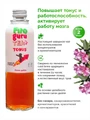 Низкокалорийный холодный чай на растительном сырье Fitoguru Чай+ Тонус Саган Дайля